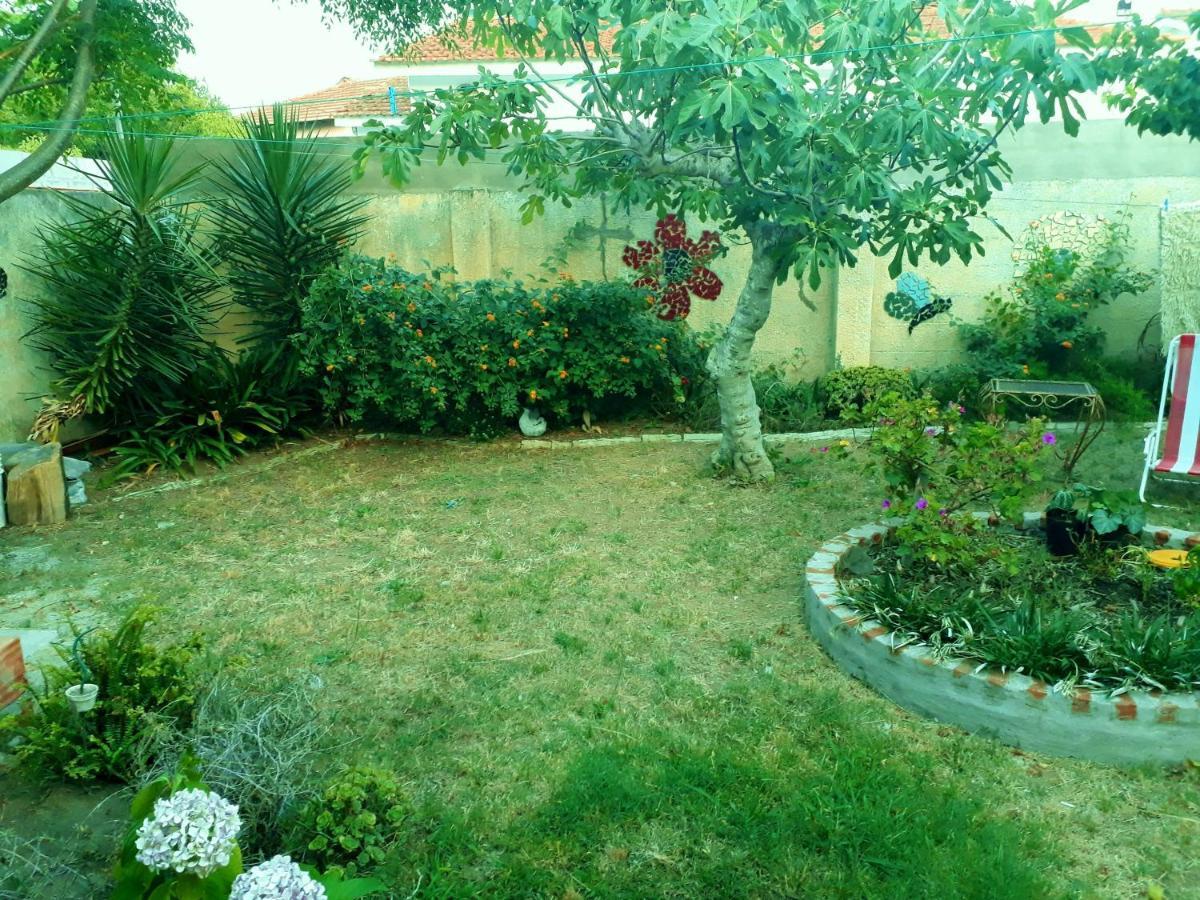 Chalet La Mambu Mar de Ajó Dış mekan fotoğraf